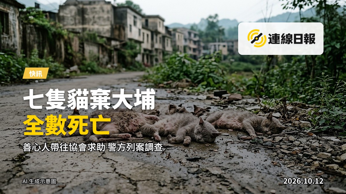 大埔村路上一個被棄置的紙箱，旁無車輛，天色晦暗。