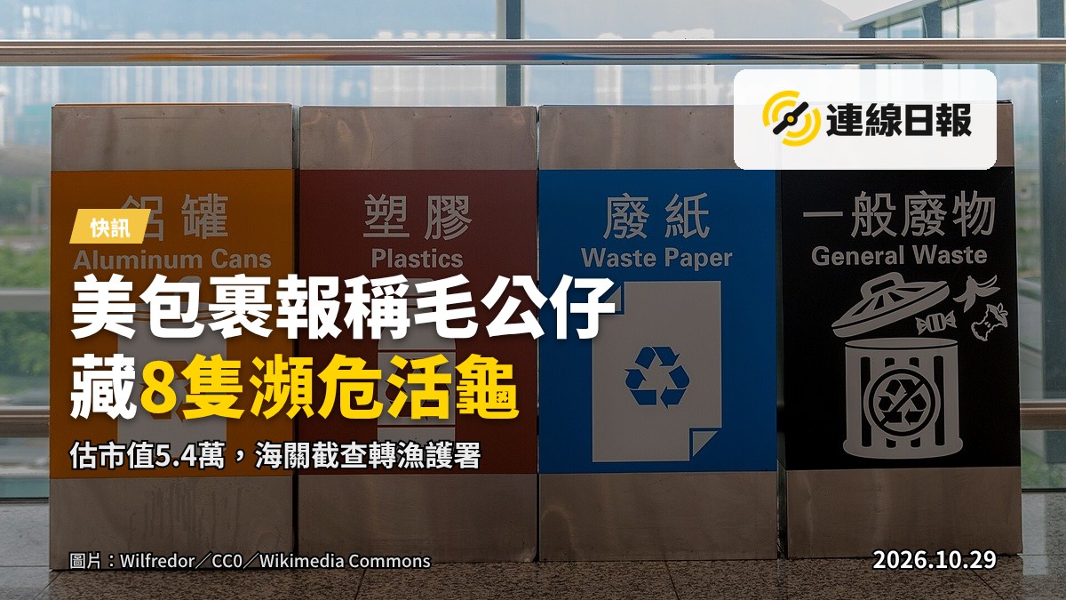 海關查獲兩個由美國進口、報稱載有毛公仔及積木玩具的包裹內藏8隻懷疑瀕危活龜。