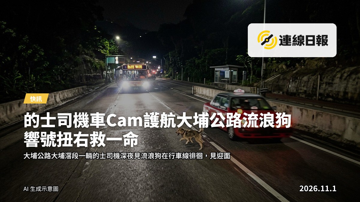 大埔公路大埔滘段夜間車Cam畫面，的士司機沿左邊行車線行駛，對面行車線有一隻流浪狗，迎面有巴士駛近。