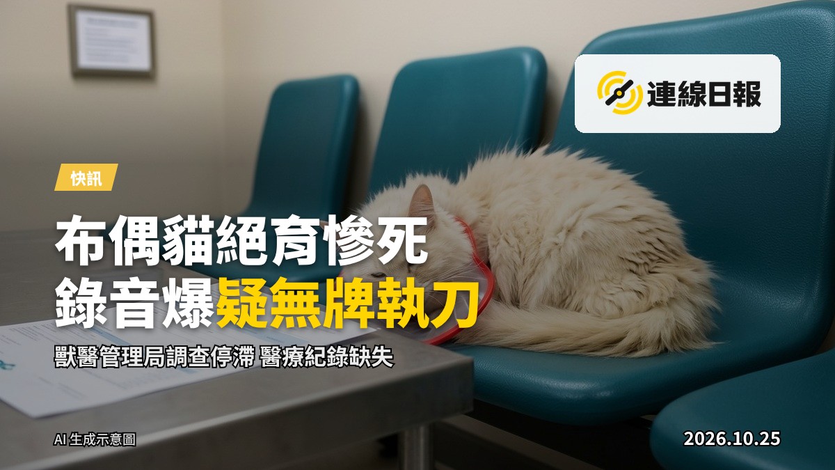 一間熄燈的獸醫診所候診室，夜色冷清
