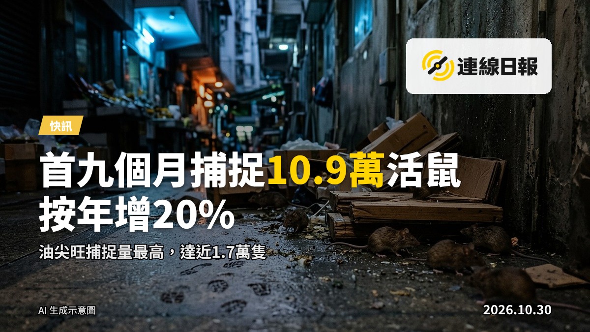 城市街景，暗示鼠患問題
