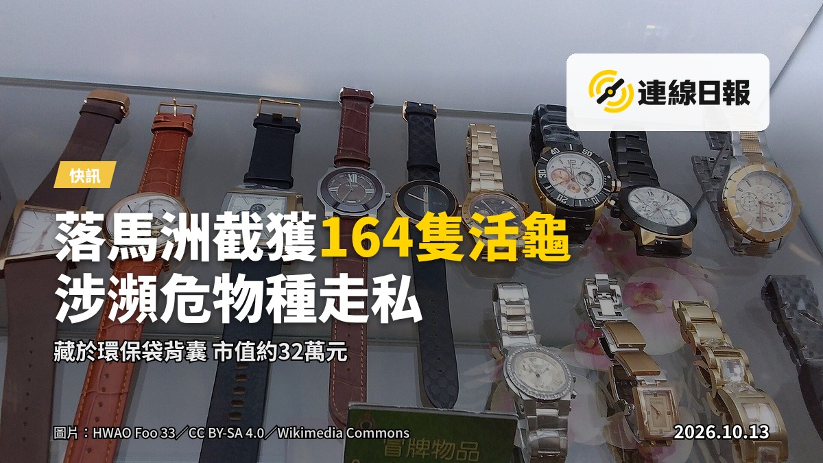 海關人員正在查驗行李中夾藏的大批活龜