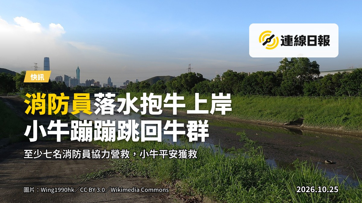 上水石上河，消防員涉水將小牛抱上岸，岸上同袍合力接應。