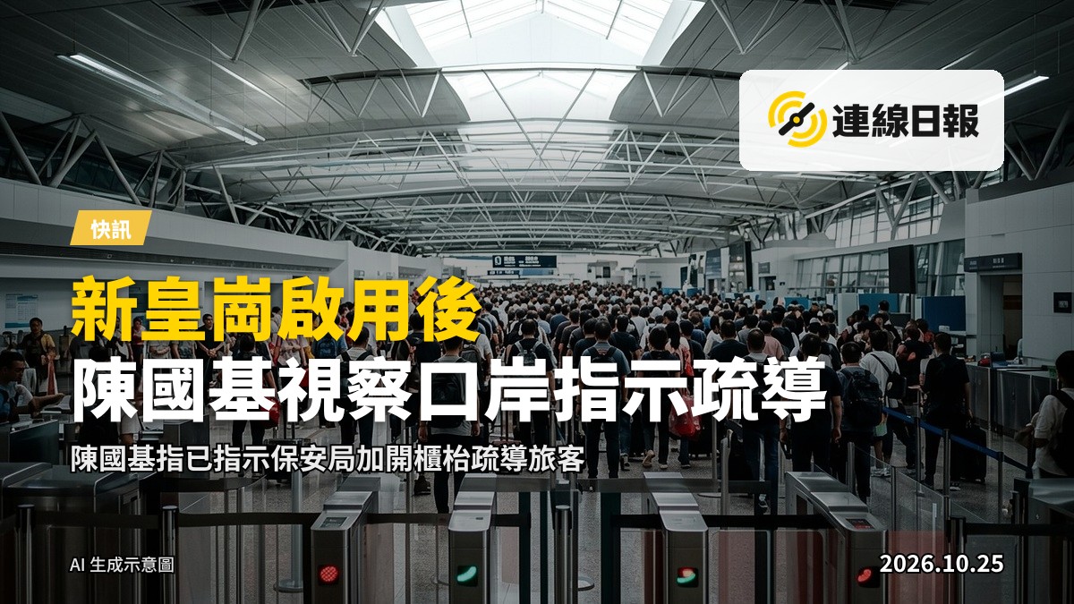 繁忙的陸路口岸，旅客队伍和检查柜台，远处人群， faces not visible