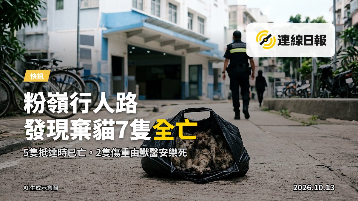 棄置於行人路上的膠袋，內有弱小的貓隻