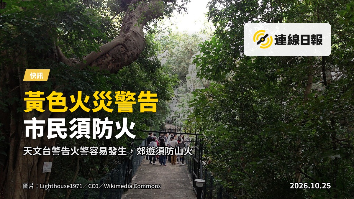 天文台黃色火災危險警告：郊野山徑在秋日乾燥陽光下，植被枯黃。