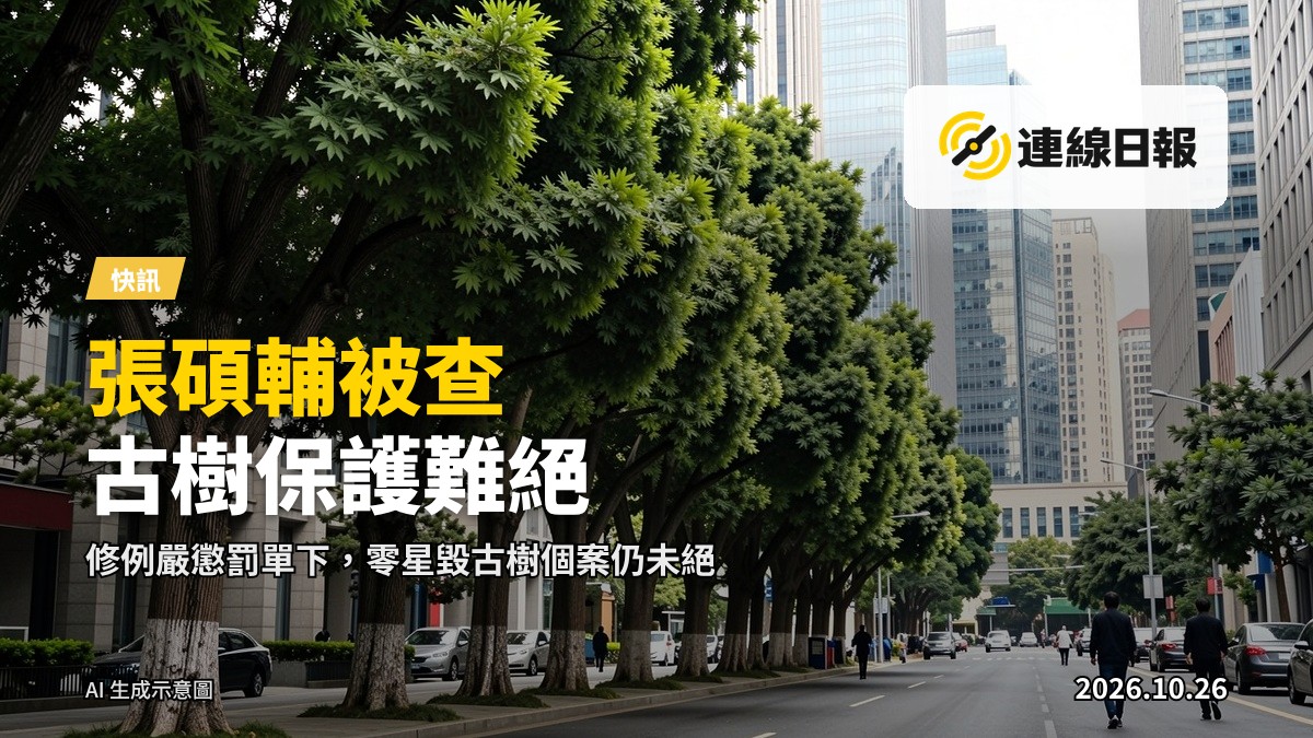 城市街道旁一排茂密古樹，背景為高樓，象徵城市中的古樹保護議題