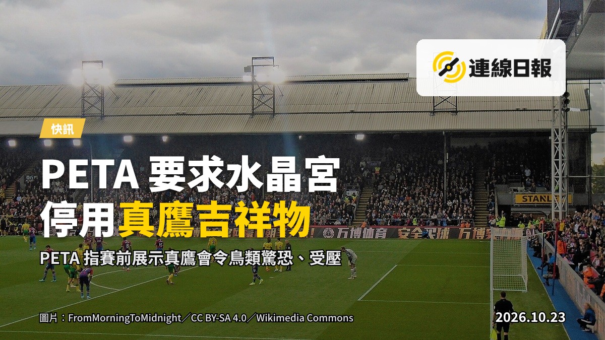 一隻白頭鷹棲在球場欄杆上，背景為看台及泛光燈。