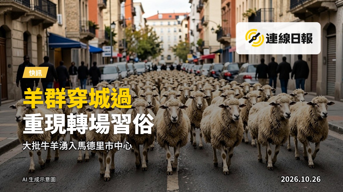 大批綿羊與山羊穿過馬德里市中心街頭，兩旁圍觀的遊客排成一行