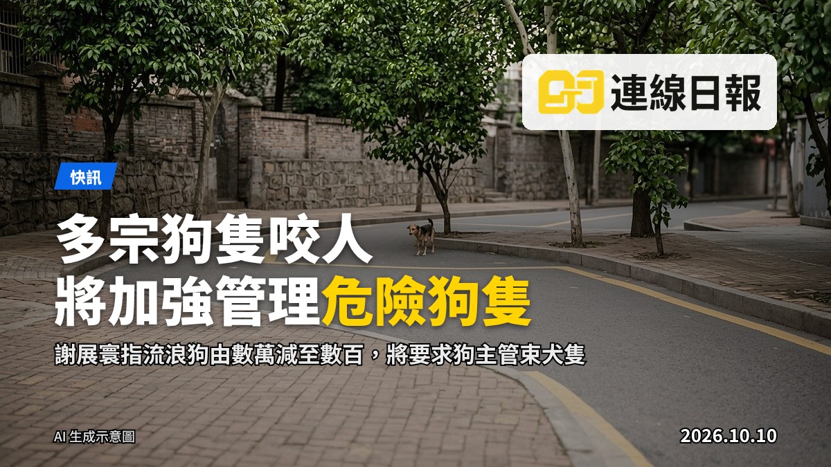 香港街頭的流浪狗