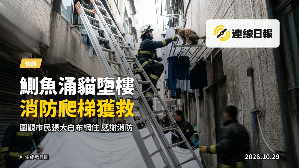 消防員沿長梯爬高,救援困於大廈外牆曬衣架上的貓咪,地面人員在下方張開大白布作防護網