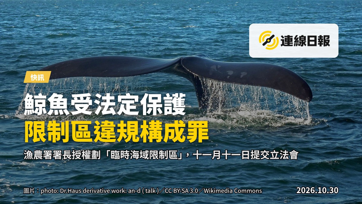 海面上一艘漁船遠眺，遠處有鯨魚身影。