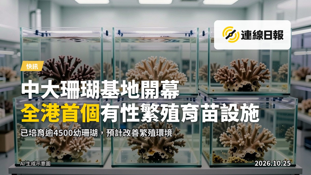 室內珊瑚育苗設施,多組培養槽養育幼珊瑚,無文字或商標