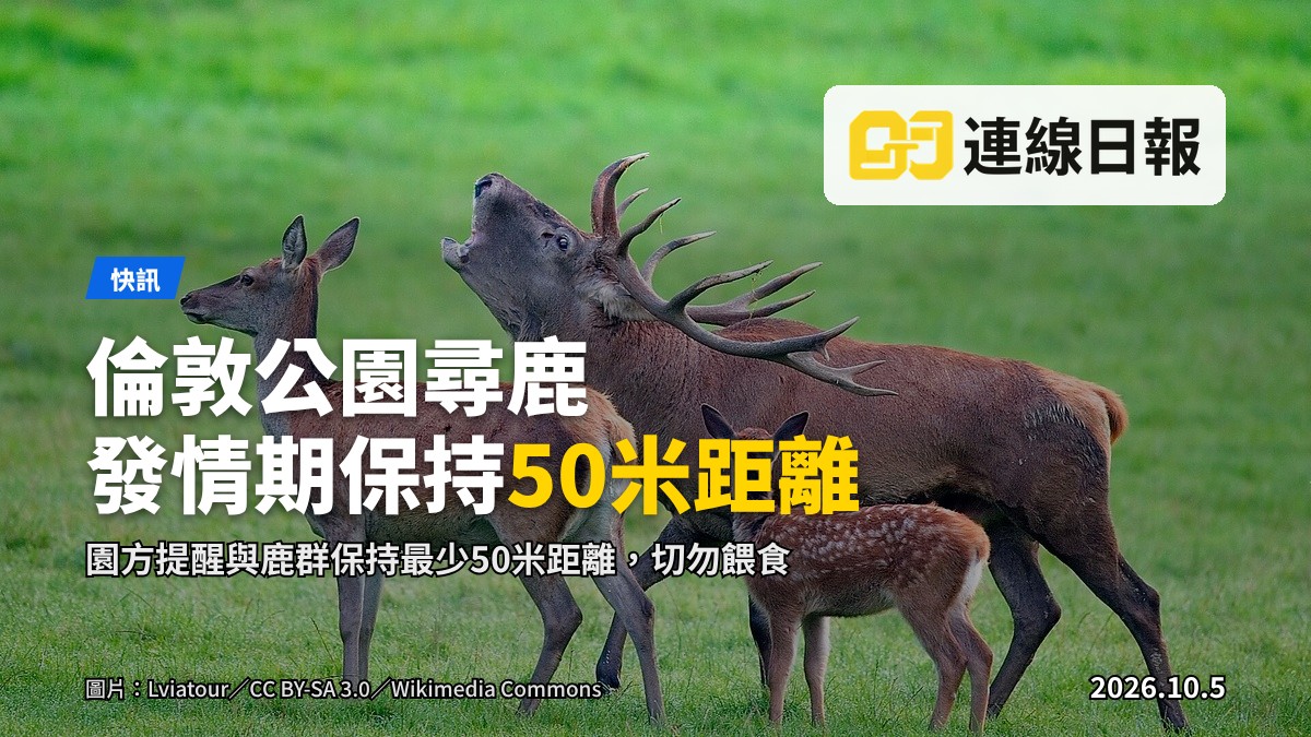 初秋時節的倫敦市內公園，馬鹿與黇鹿在草地間活動，遠處有遊人身影
