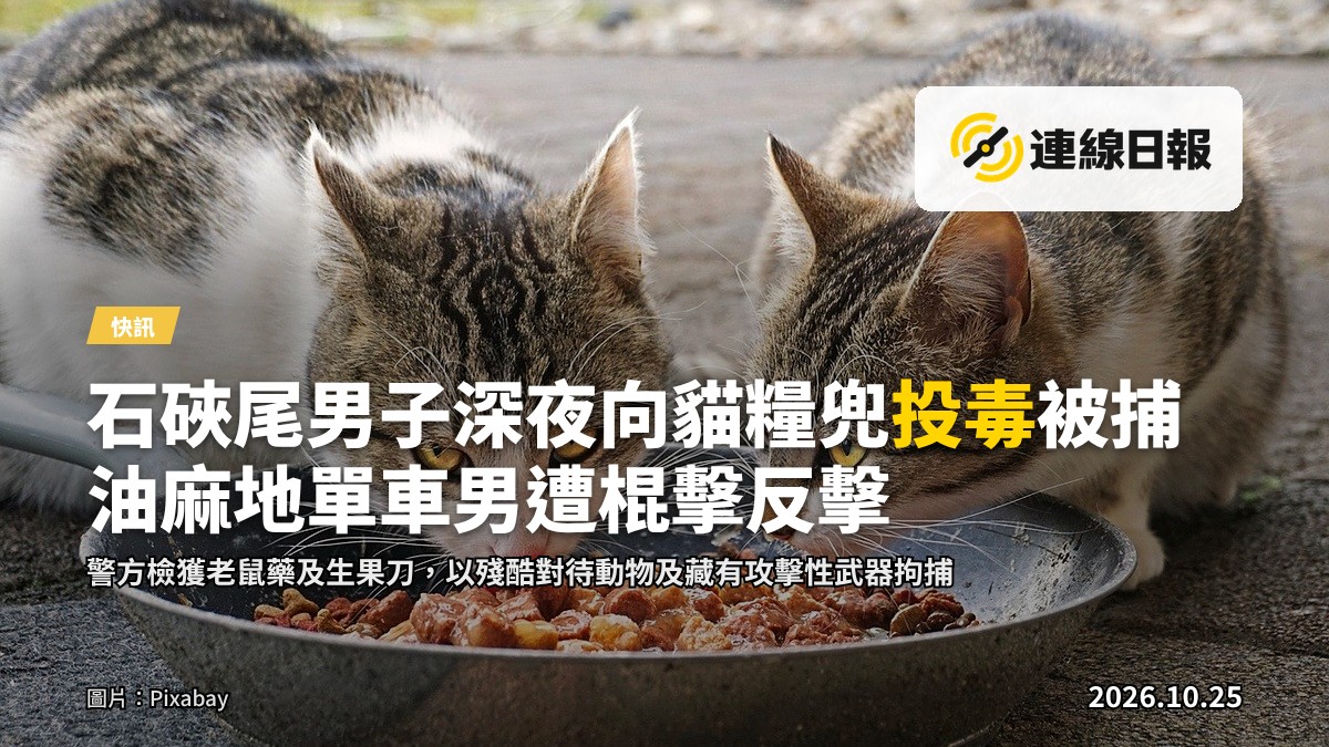 深夜嘅公園，流浪貓糧兜擺喺樹下，無人經過