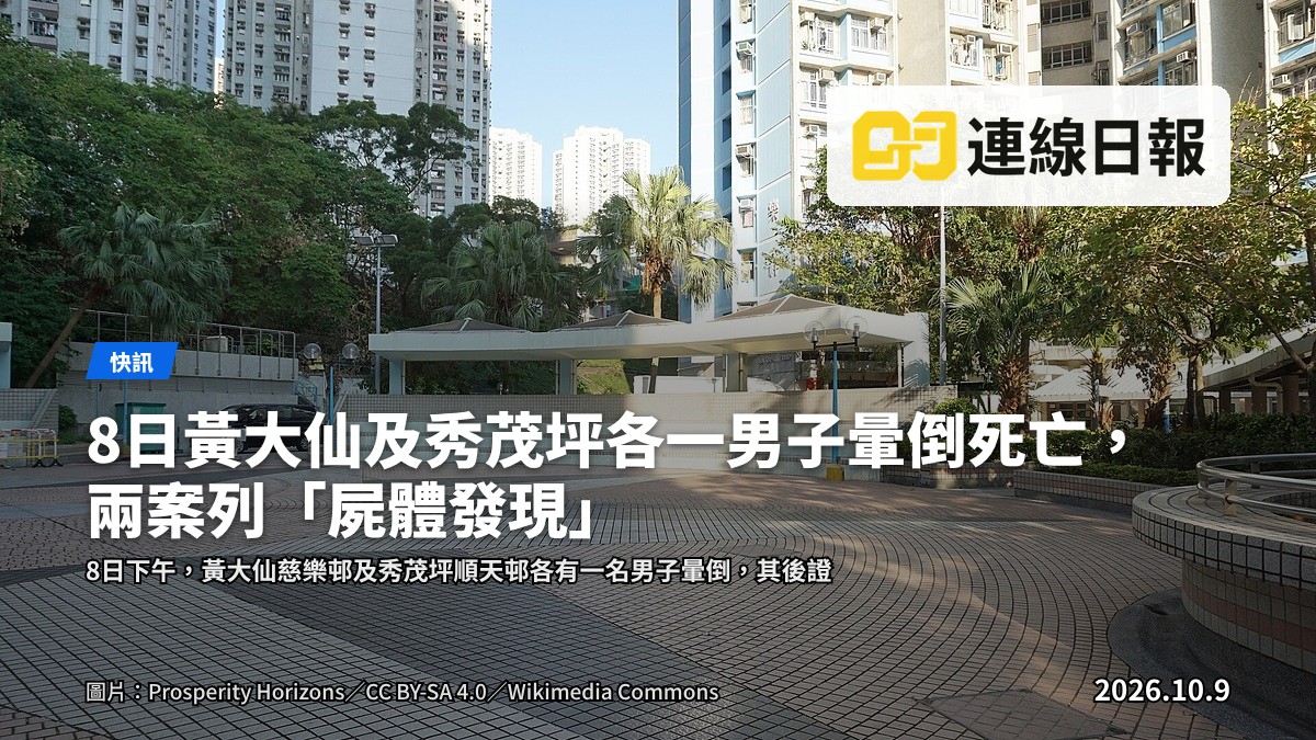 香港公屋屋邨示意圖，與兩宗死亡事件所涉地點性質相類