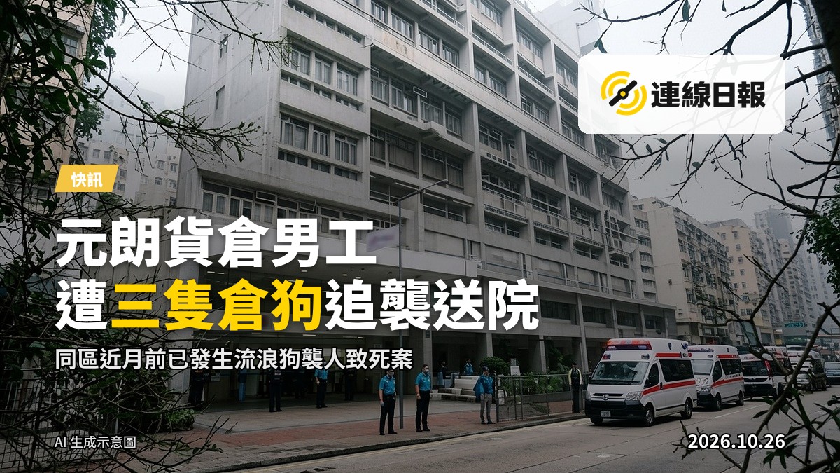元朗貨倉內的昏暗走廊,堆放貨物,兩隻狗在走道活動