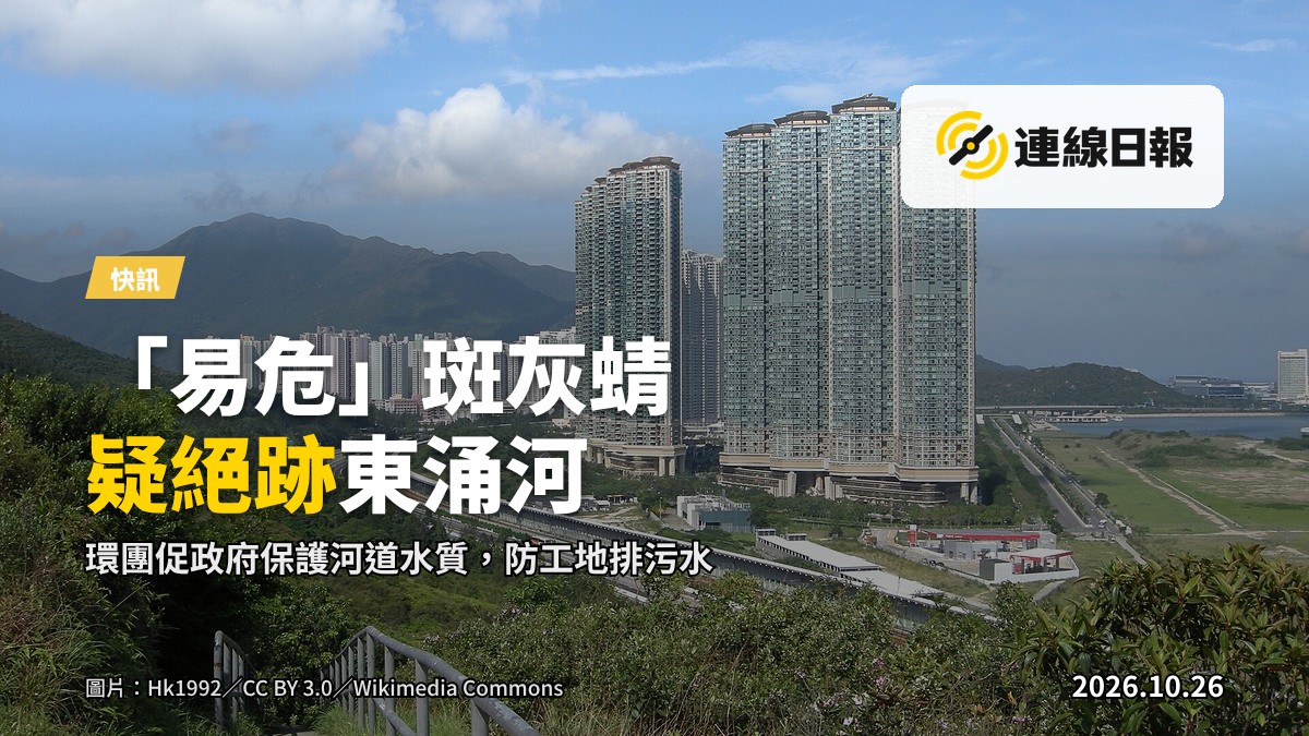 東涌河下游河段，沿岸可見建設工地，河水略顯混濁