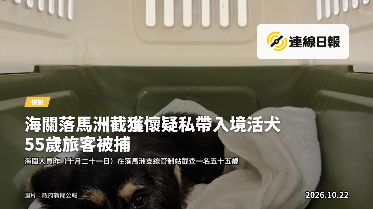 海關於落馬洲支線管制站檢獲的懷疑非法進口活犬
