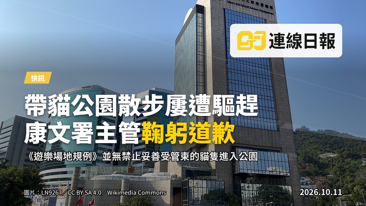一張貓與主人在公園綠地上散步，遠處樹影斑駁，畫面安寧。