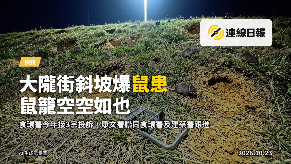 葵涌大隴街休憩花園下方斜坡草皮上的鼠洞及鼠籠