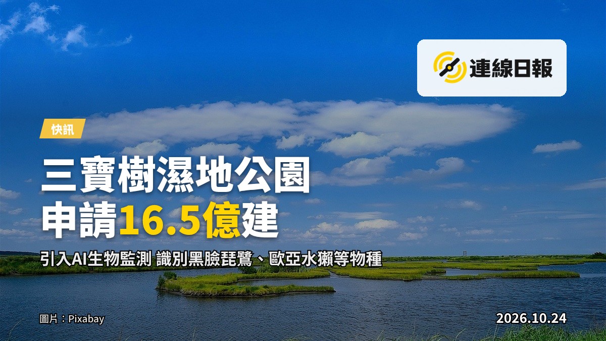 晨霧籠罩的濕地沼澤，遠處一群琵鷺站立於淺水中覓食，背景隱約見新田發展區輪廓。