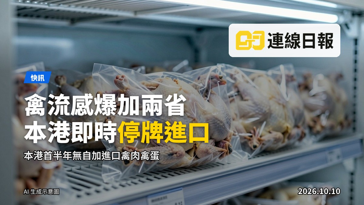 冷凍庫內包裝整齐的禽肉產品