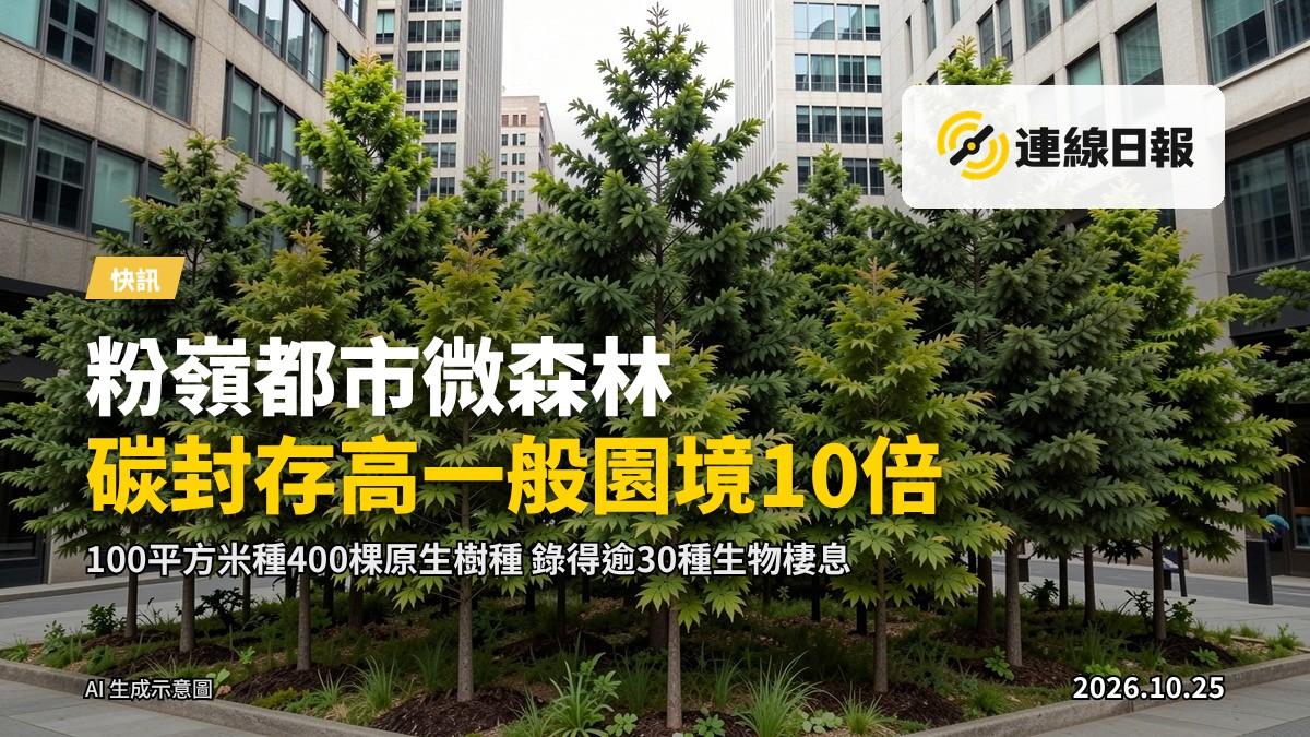 粉嶺新發展區都市微森林先導項目：小面積土地內高密度種植的原生樹種