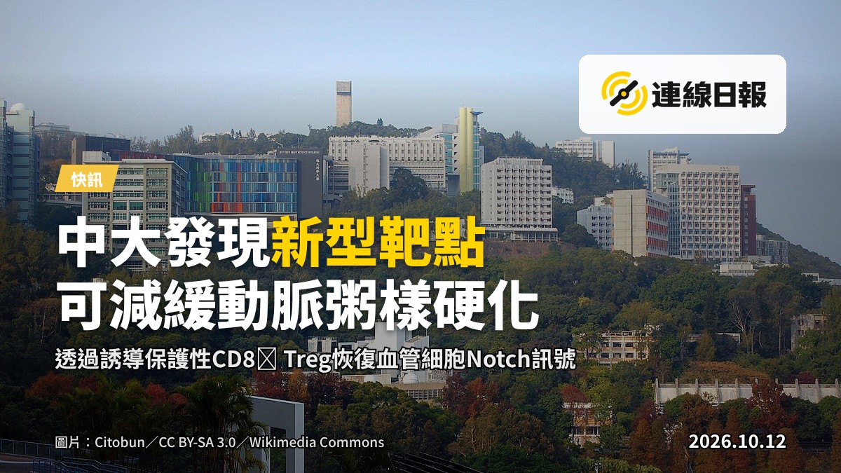 显微镜下血管組織的示意影像，可見血管壁與免疫細胞，用以象徵研究對象。
