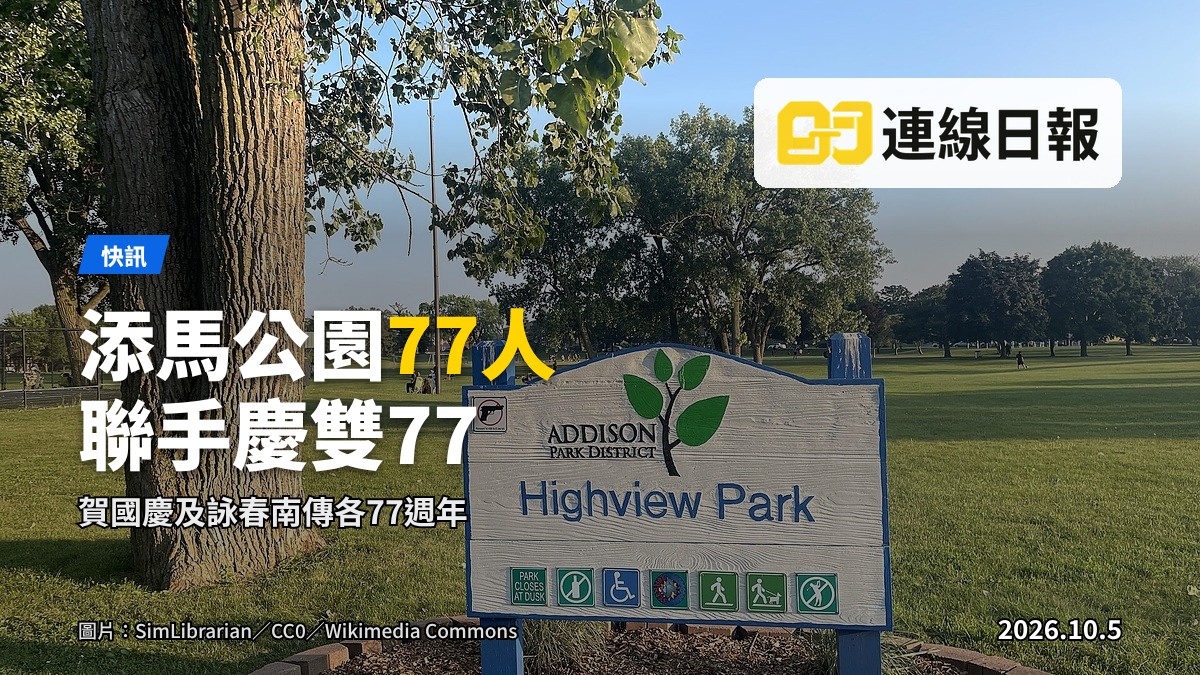 添馬公園大草坪面向維港，遠處為政府總部，遠處人群背影演練武術。