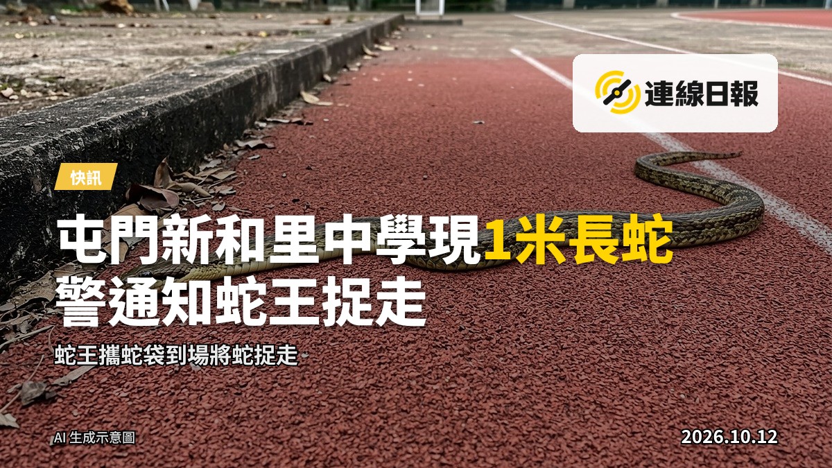 屯門一所中學操場小徑上，一條長約1米的蛇疑似反肚失去知覺，身穿藍色上衣的蛇王攜蛇袋到場捉走該蛇。