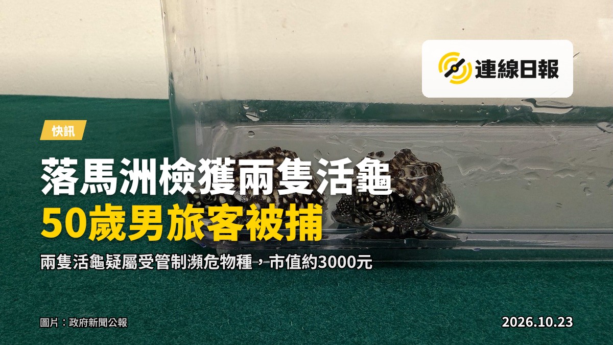 海關於落馬洲支線管制站檢獲的兩隻懷疑屬受管制瀕危物種活龜