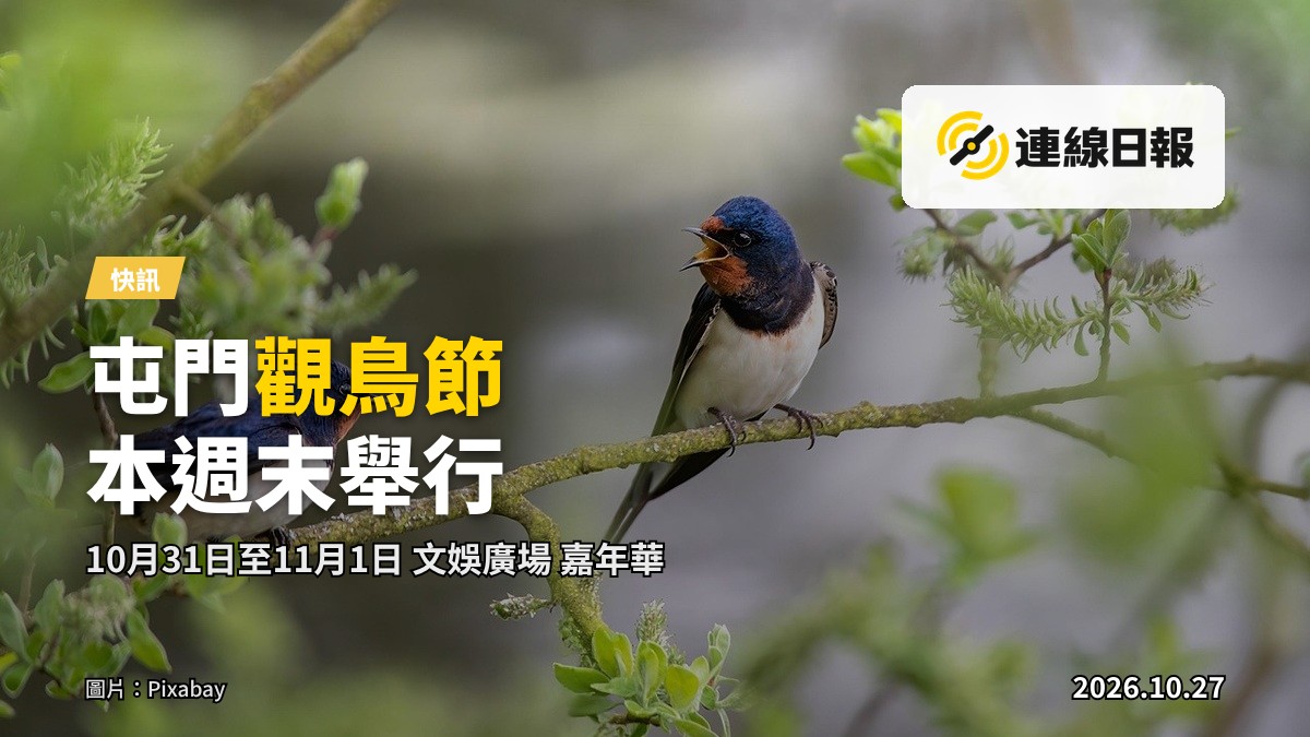 群候鳥喺樹枝上停棲，背景係晨光下的濕地。