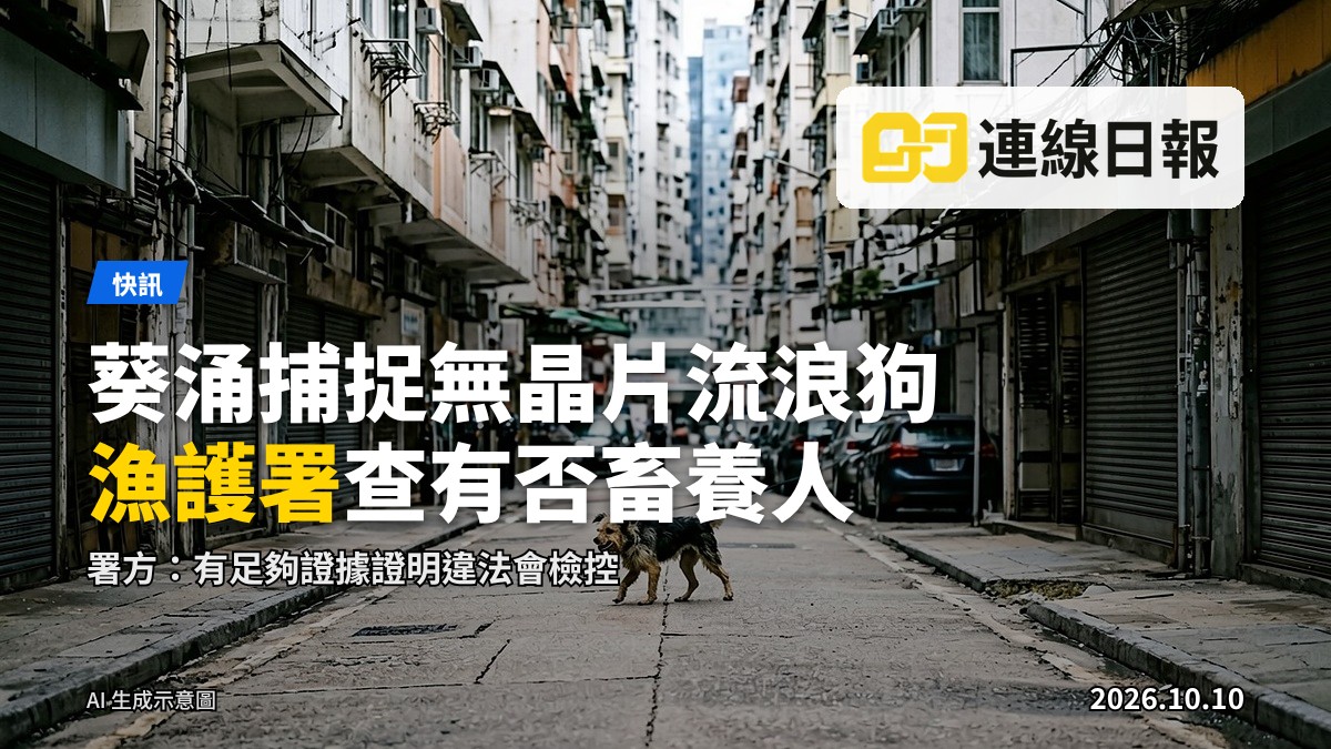 葵涌和宜合道一帶被捕捉的無人看管狗隻，處於動物管理機構的管治下