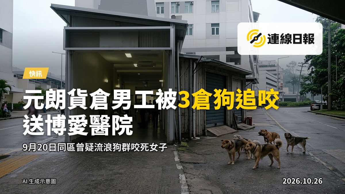 元朗壆圍路貨倉外街道,背景為倉庫及堆貨,兩隻狗在倉外活動