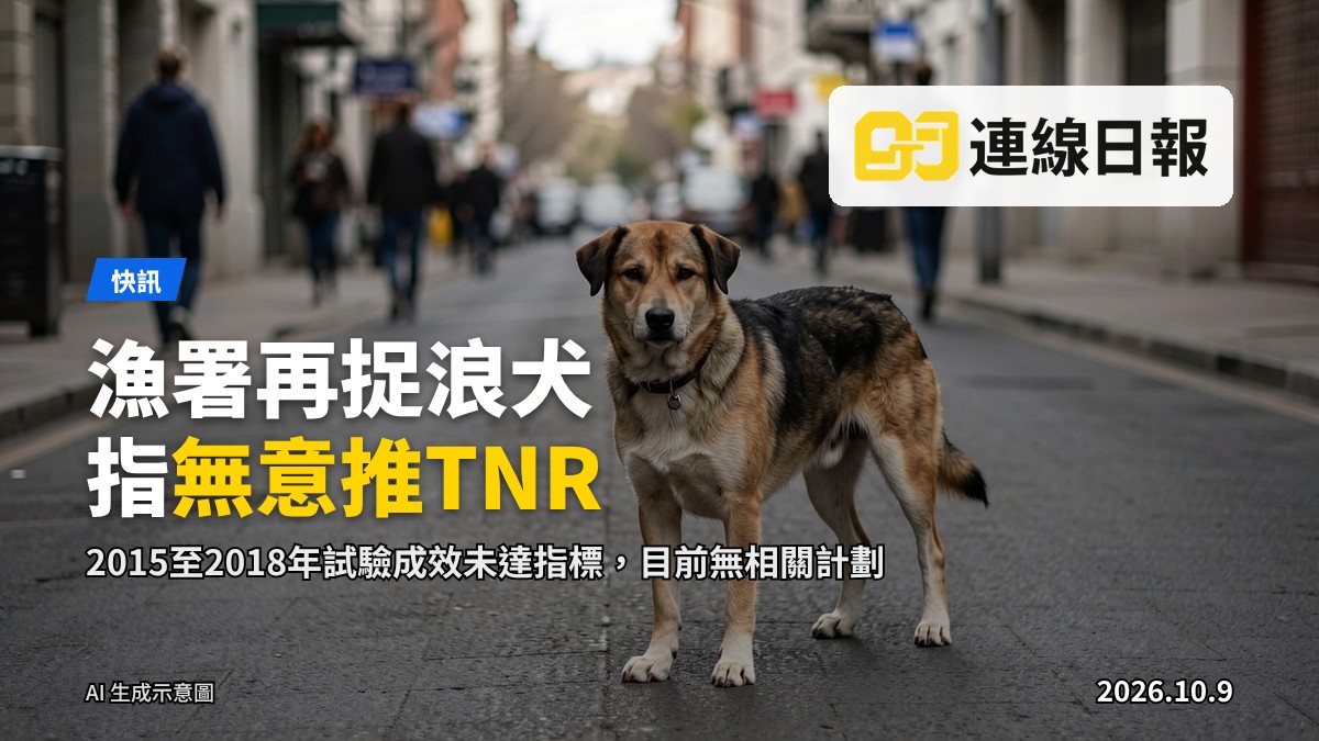 街頭一隻流浪犬，背景為城市街景（示意圖）