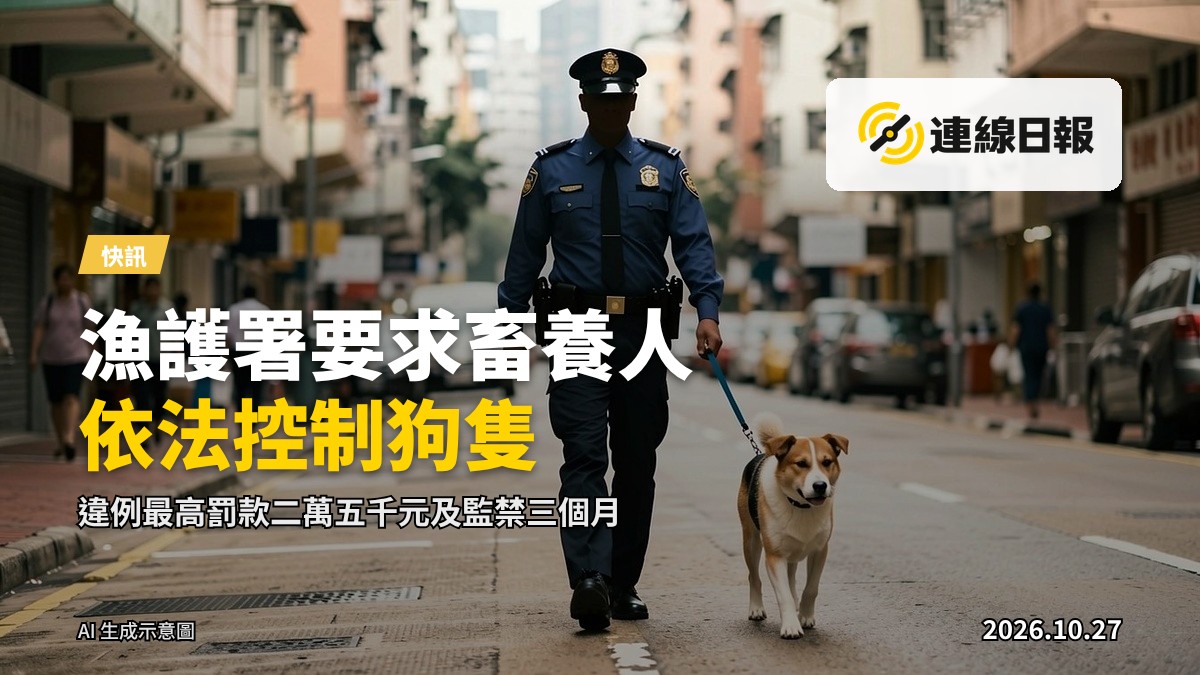 城市街道邊一隻被狗帶穩妥牽引的狗隻，遠景，無清晰面部